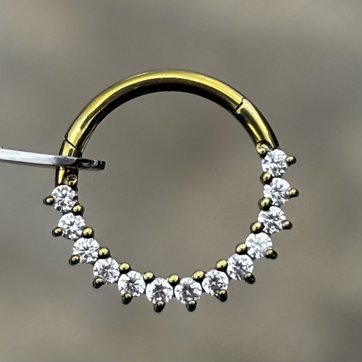 agata argolla titanio