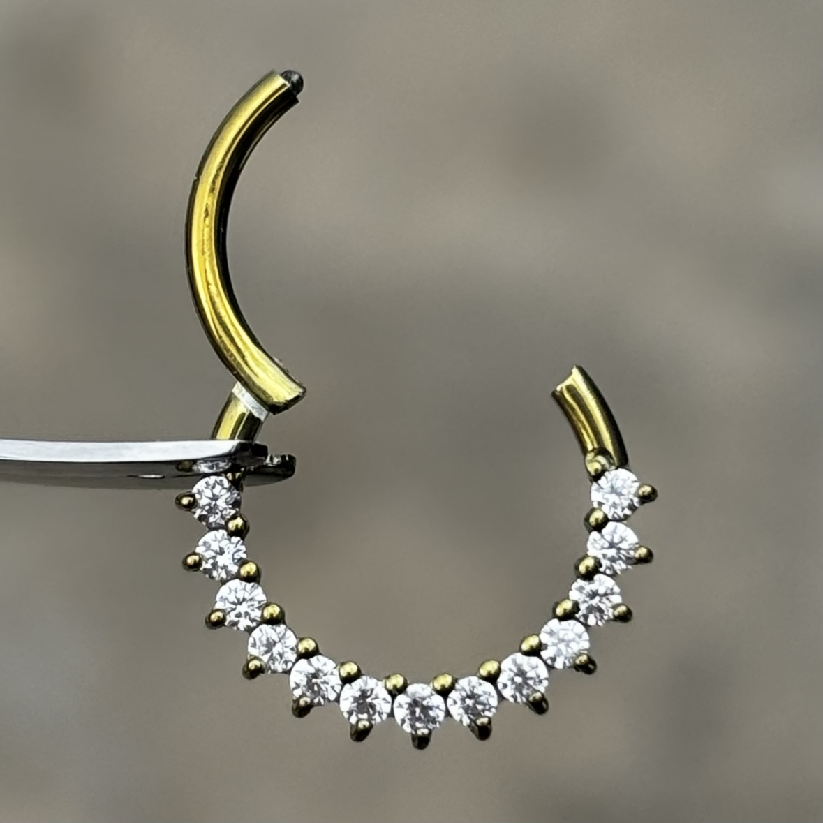 agata argolla titanio