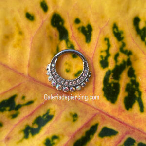 Monclova Argolla Titanio