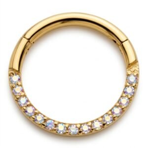 Argolla Zirconias Boreal Infinita Titanio 16g